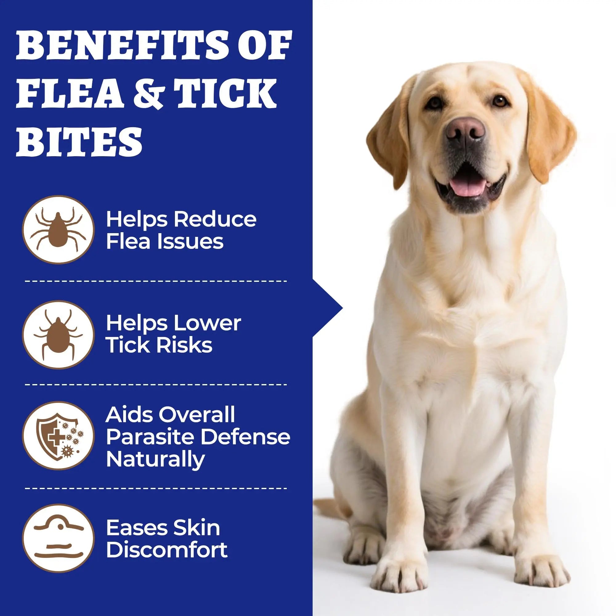 Wellix Flea & Tick Support Chews for Dogs - Essential Skin & Coat Care Supplement for Happy, Healthy Pets